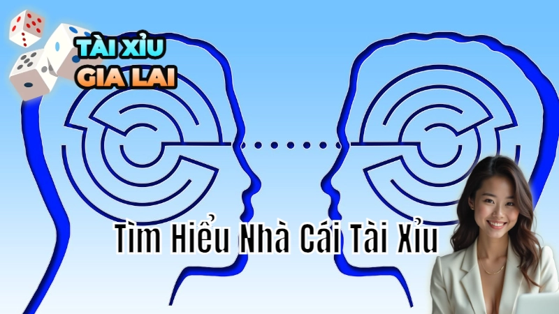 Tìm Hiểu Nhà Cái Tài Xỉu Để Tối Ưu Chiến Lược