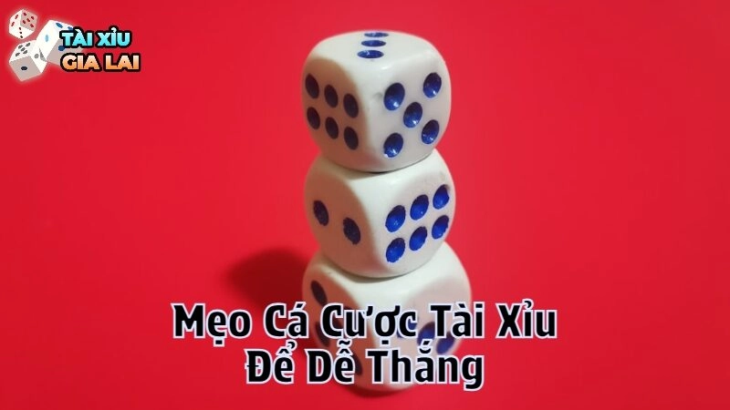 Mẹo Cá Cược Tài Xỉu Để Dễ Thắng