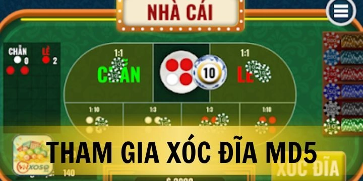 Cách chơi Xóc Đĩa MD5 - Hướng dẫn chi tiết và bí kíp thắng lớn