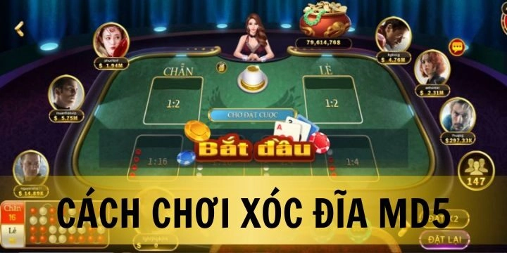 Cách chơi Xóc Đĩa MD5 - Hướng dẫn chi tiết và bí kíp thắng lớn